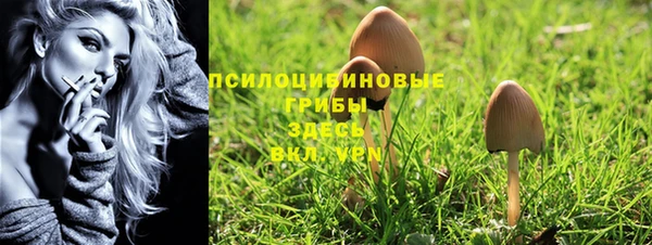 PSILOCYBIN Белоозёрский