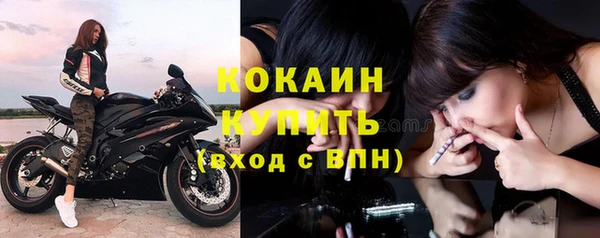 круглые Пересвет