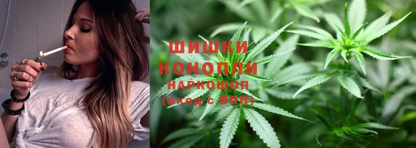 тгк Белокуриха